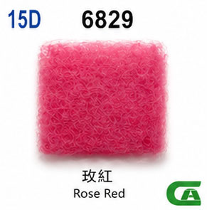 6829